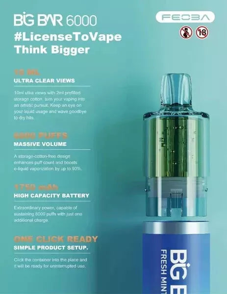 FEOBA | Big Bar 6000 Vape Kit 20mg vape 6000 Puffs | Box of 5